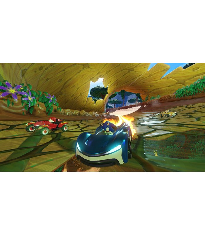 Team Sonic Racing PS4