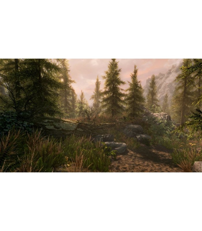 The Elder Scrolls V Skyrim Special Edition Xbox One