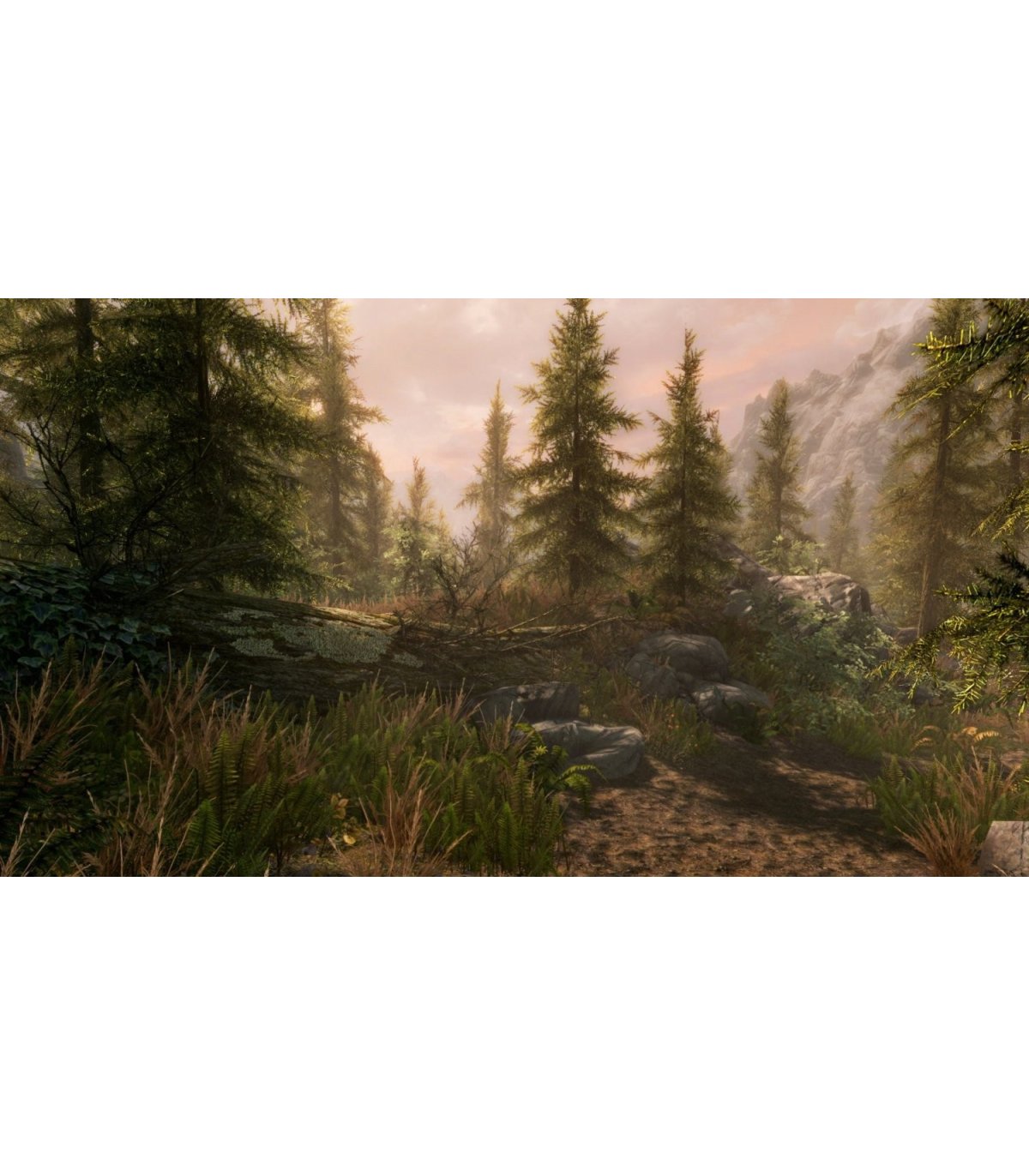 The Elder Scrolls V Skyrim Special Edition Xbox One