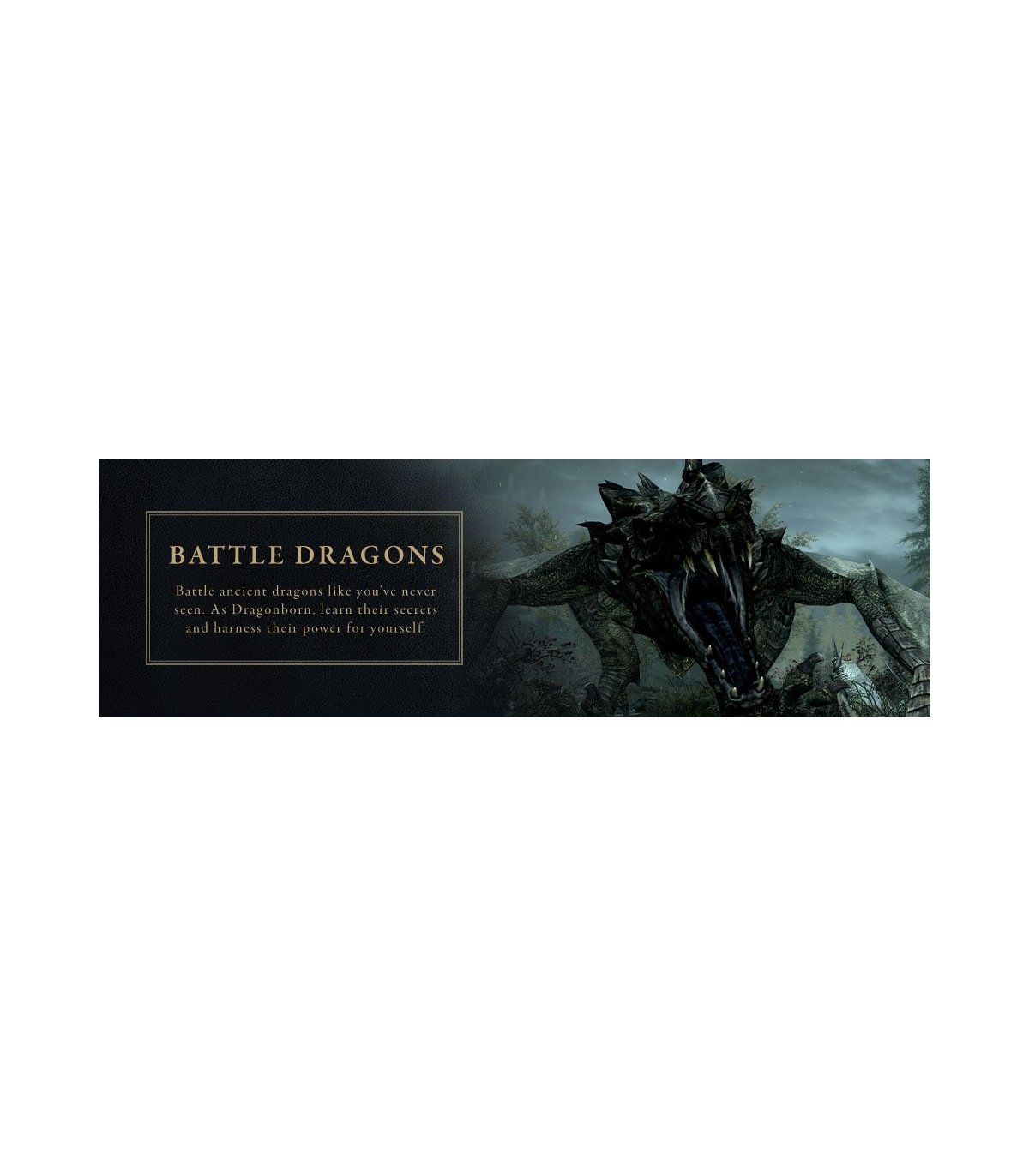 Įsigykite The Elder Scrolls V Skyrim Anniversary Edition Xbox One / Series X Gera Kaina 