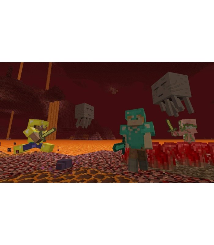 Minecraft Switch