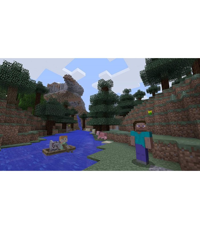 Minecraft Switch