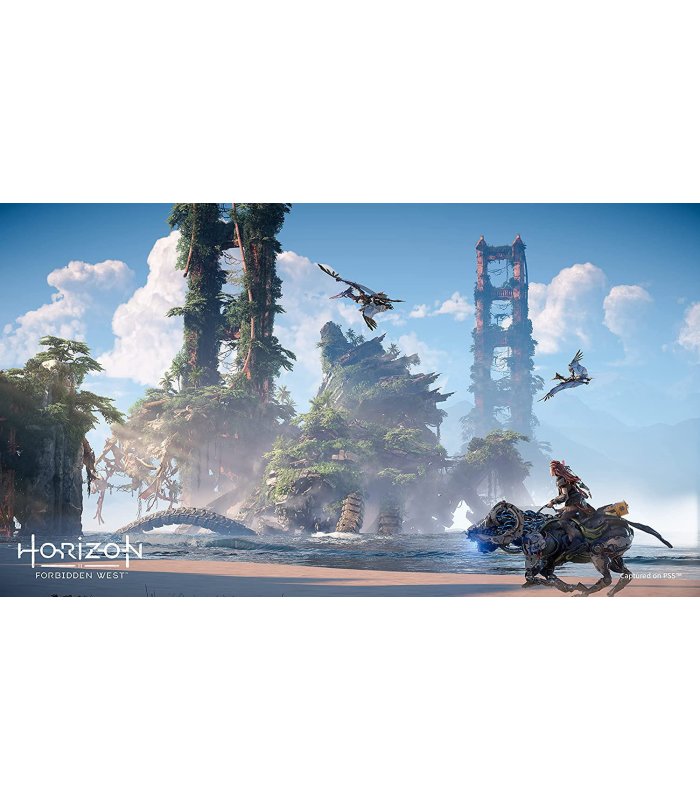 Horizon Forbidden West PS4 [Пользованый]