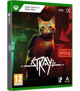  Naršykite Pagrindinis kategoriją | Kinect.lt