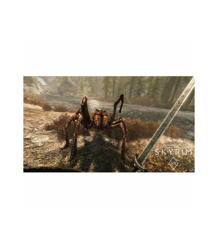 Skyrim VR/PS4