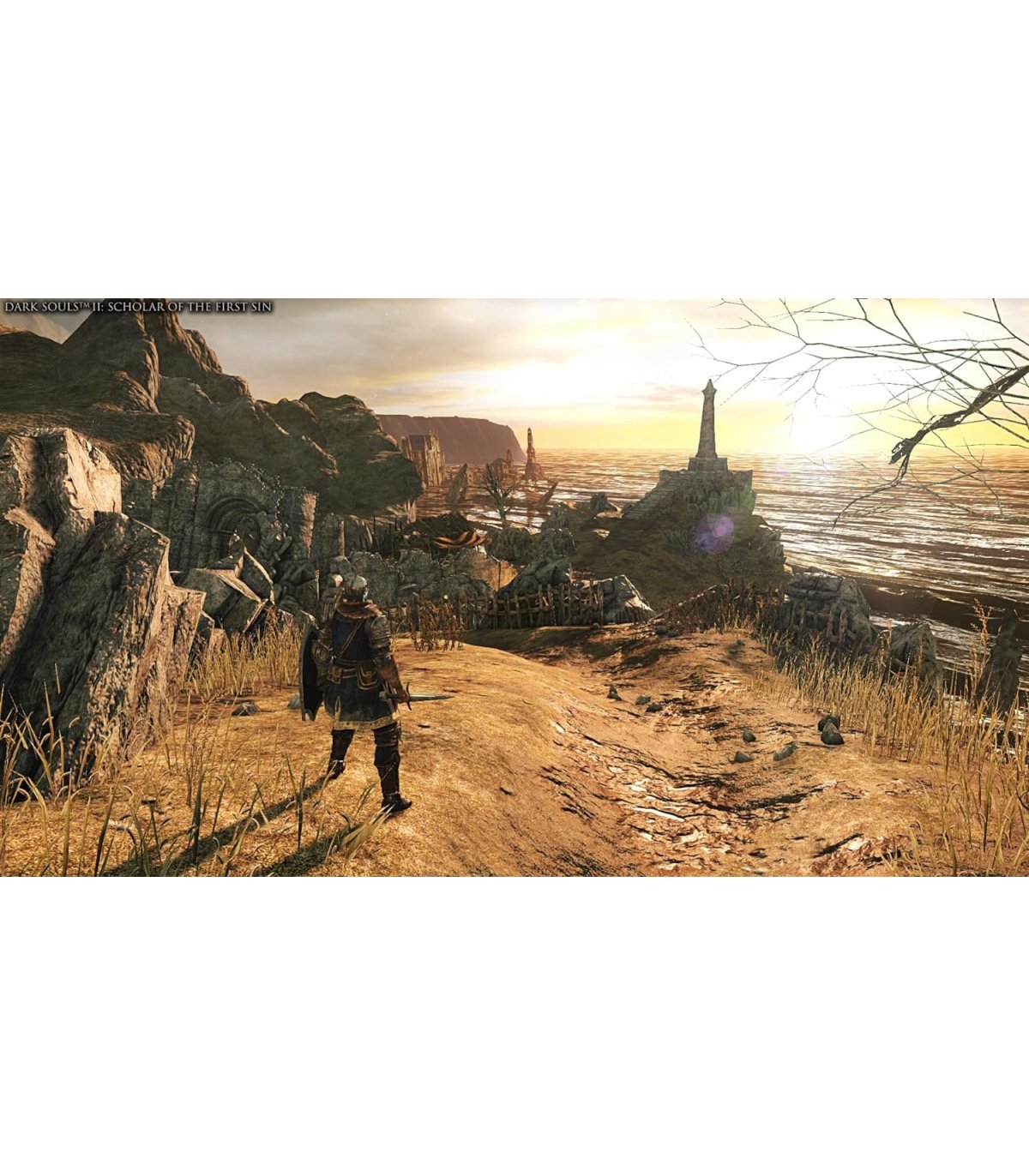 Įsigykite Dark Souls Trilogy PS4 Gera Kaina 