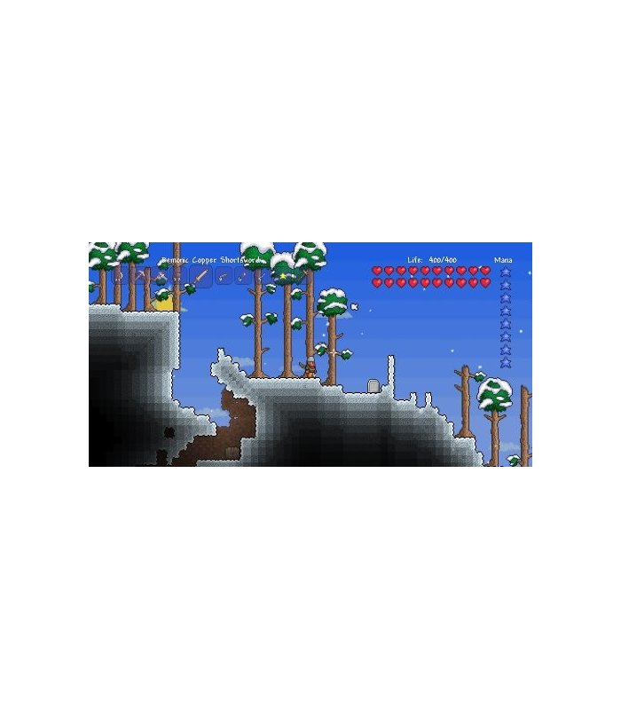 Terraria PS4