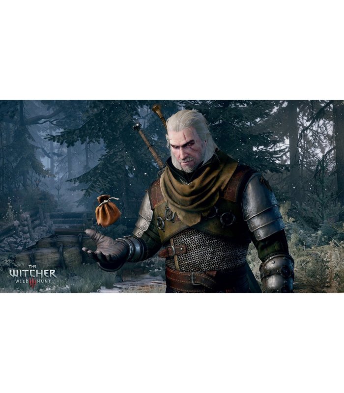 The Witcher 3: Wild Hunt PS4