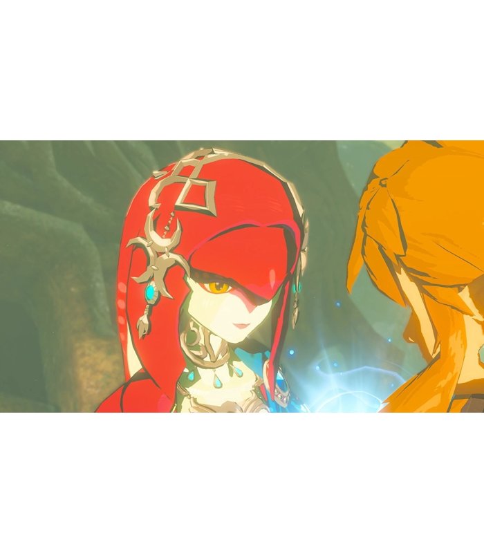 The Legend of Zelda Breath of the Wild Nintendo Switch