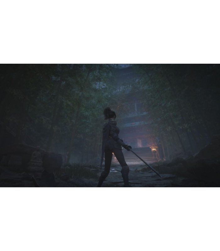 Pirkt Wuchang: Fallen Feathers PS5 Lieliska cena