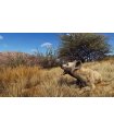 Osta Way of the Hunter: Hunting Season One PS5 Hea hind