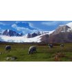 Osta Way of the Hunter: Hunting Season One PS5 Hea hind