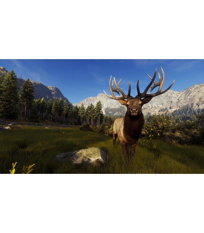 Купить Way of the Hunter Xbox Series X Отличная цена
