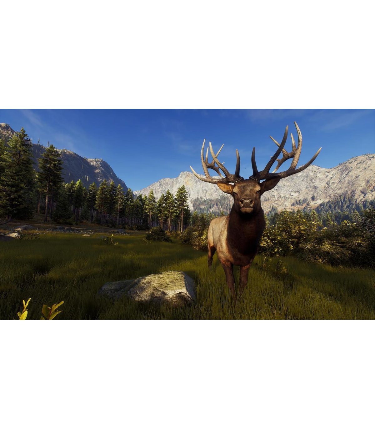 Купить Way of the Hunter Xbox Series X Отличная цена