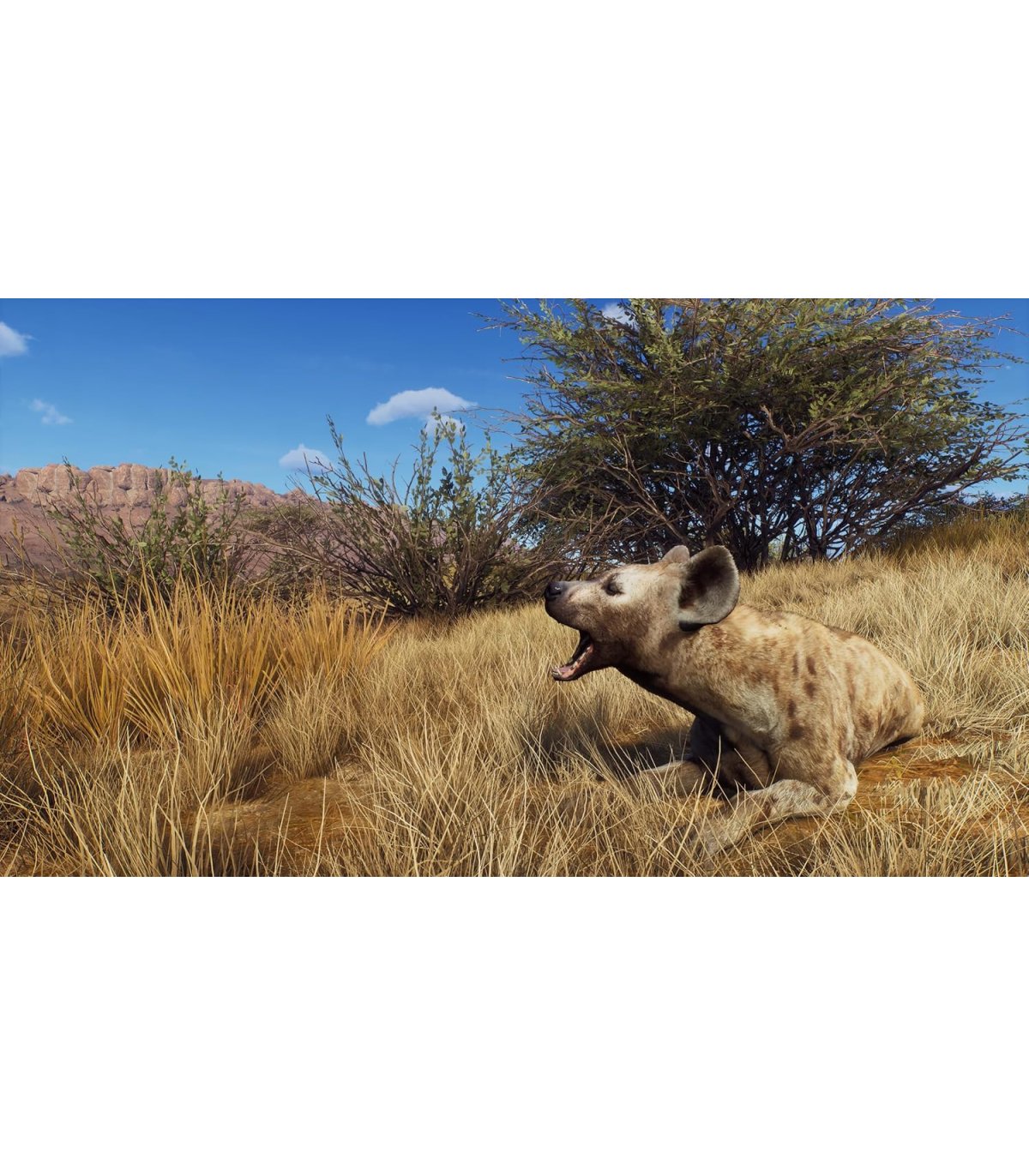 Купить Way of the Hunter Xbox Series X Отличная цена
