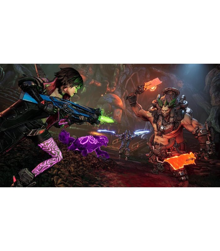 Buy Borderlands 4 PS5 for Great Price