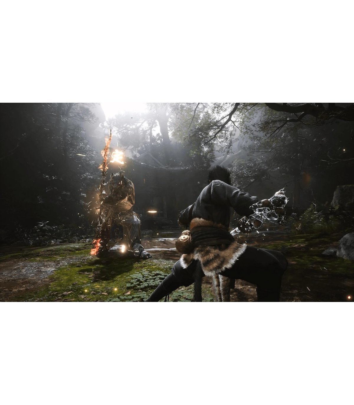 Buy Black Myth: Wukong PS5 [pre-owned] for Great Price