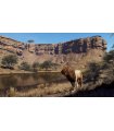 Buy Way of the Hunter: Wild Expeditions PS5 for Great Price