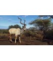 Buy Way of the Hunter: Wild Expeditions PS5 for Great Price