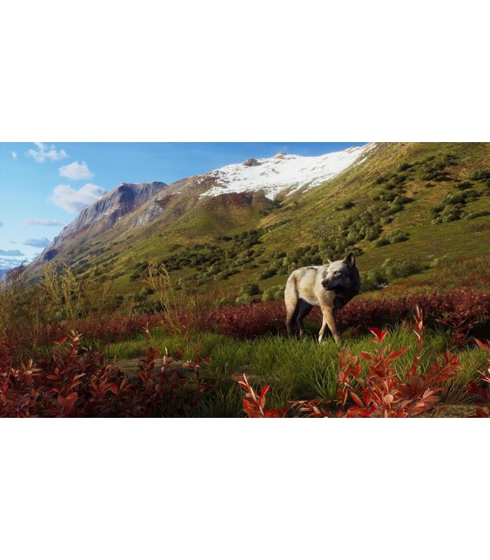 Buy Way of the Hunter: Wild Expeditions PS5 for Great Price