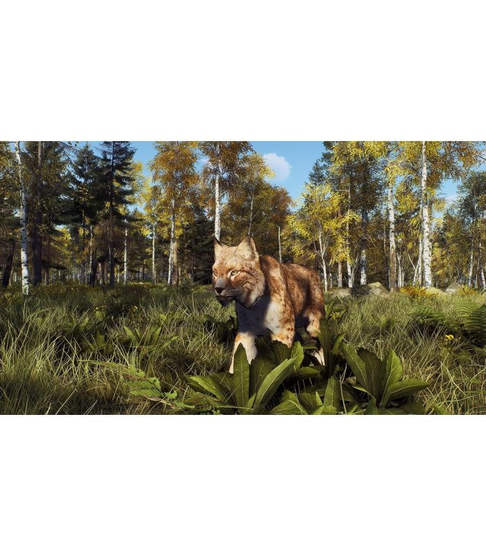 Buy Way of the Hunter: Wild Expeditions PS5 for Great Price