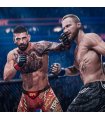 Купить EA Sports UFC 6 Xbox Series X Отличная цена
