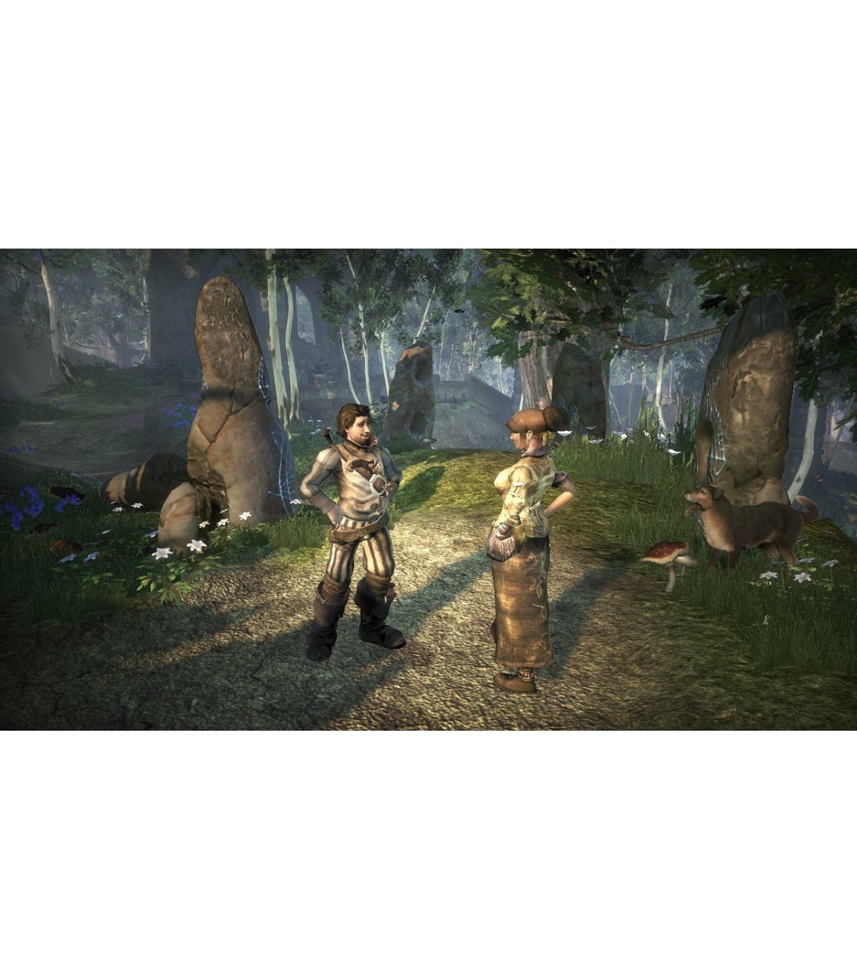 Pirkt Fable 2 Limited Collector's Edition Xbox 360 [Pre-owned] Lieliska cena