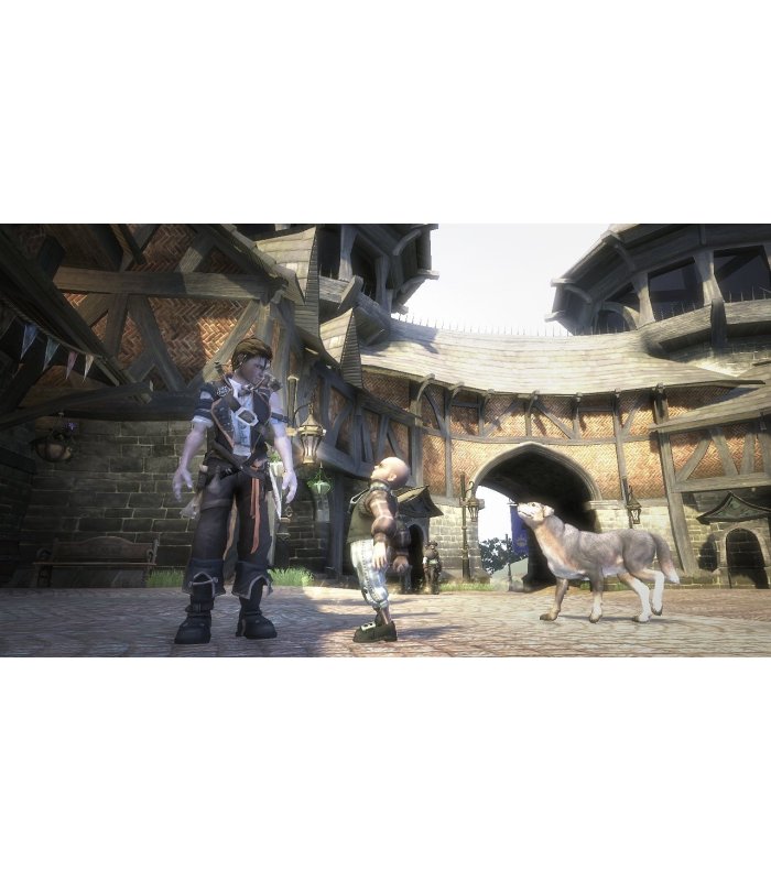 Įsigykite Fable 2 Limited Collector's Edition Xbox 360 [Naudotas] Gera Kaina 