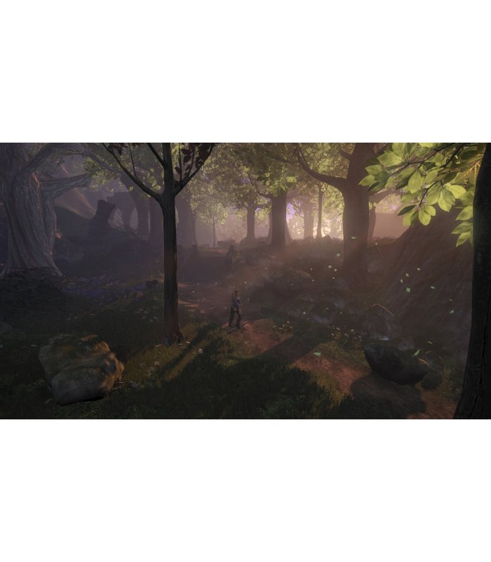 Įsigykite Fable 2 Limited Collector's Edition Xbox 360 [Naudotas] Gera Kaina 