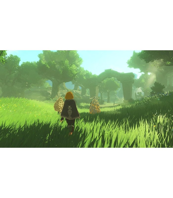 Pirkt Hyrule Warriors: Age of Imprisonment Nintendo Switch 2 [Lietotas] Lieliska cena