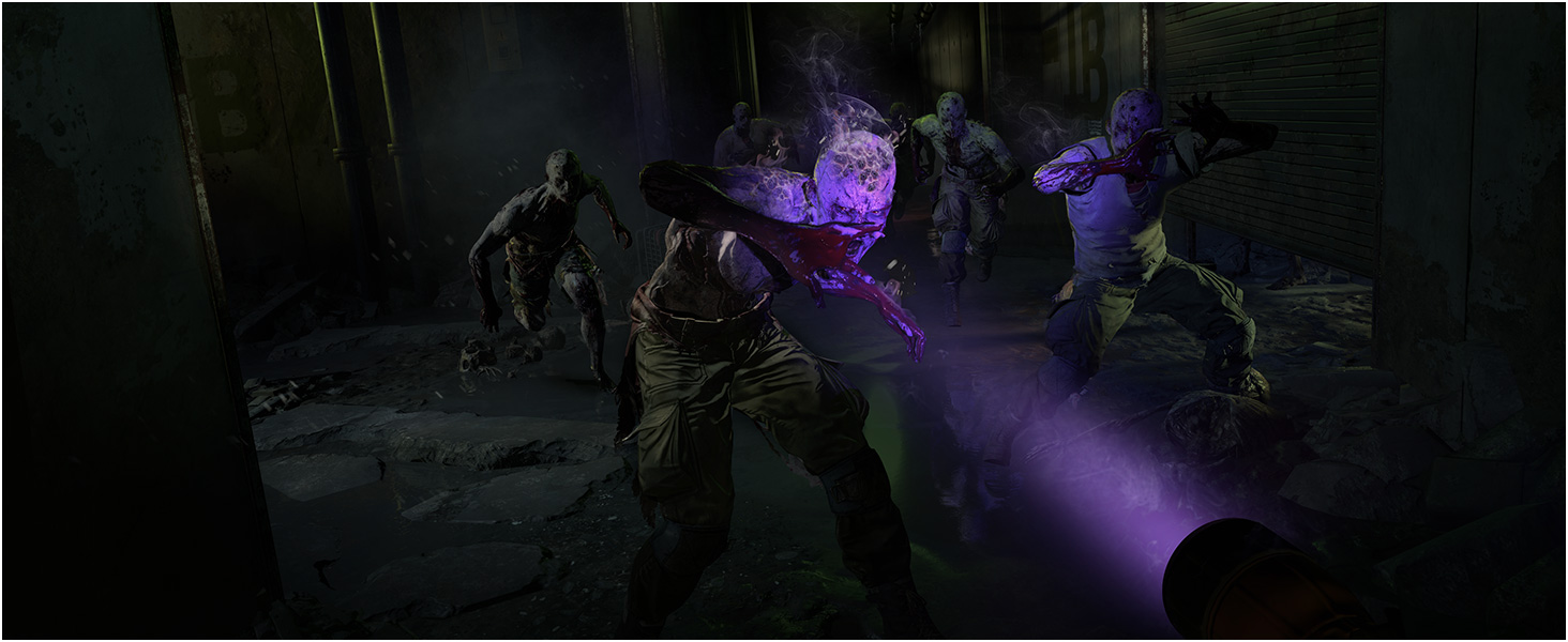 DL2 zombie